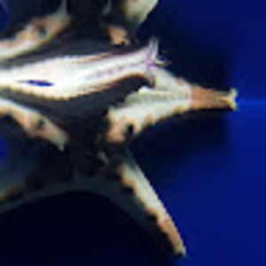 Meet your Posher, Jenni